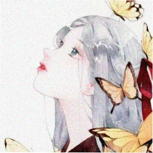 本期主笔沈迟的头像